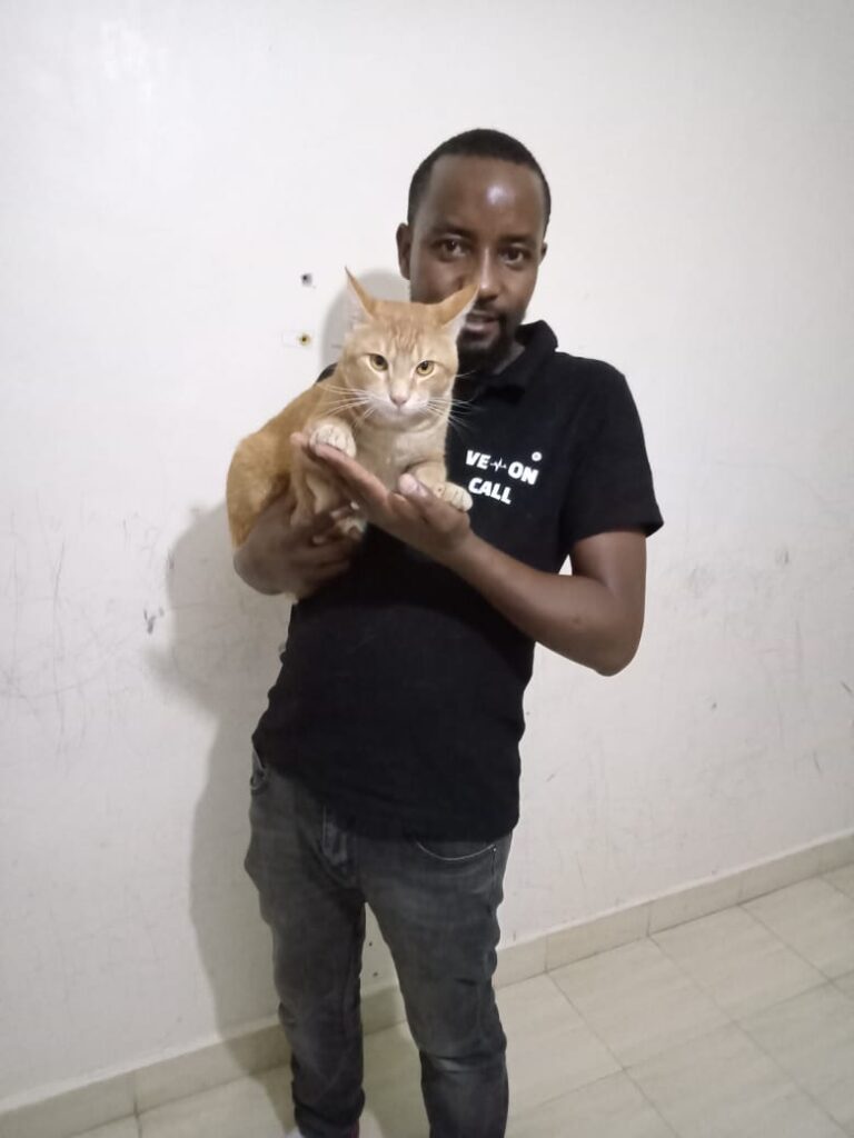 Vet On Call - Dedicated Veterinary Team